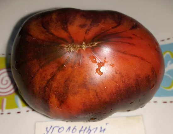 Угольный Гребень с Малиновой Головой